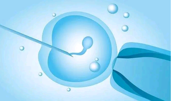 试管助孕机构费用多少,正规试管助孕机构：珠海正规助孕机构，国内助孕中心